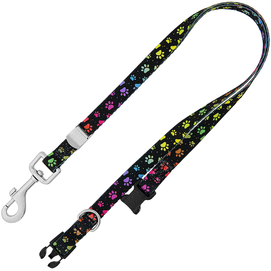 24″ Polyester Loop Rainbow Pretty Paws by Groom Loop