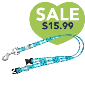 24" Polyester Loop Blue Bones by Groom Loop