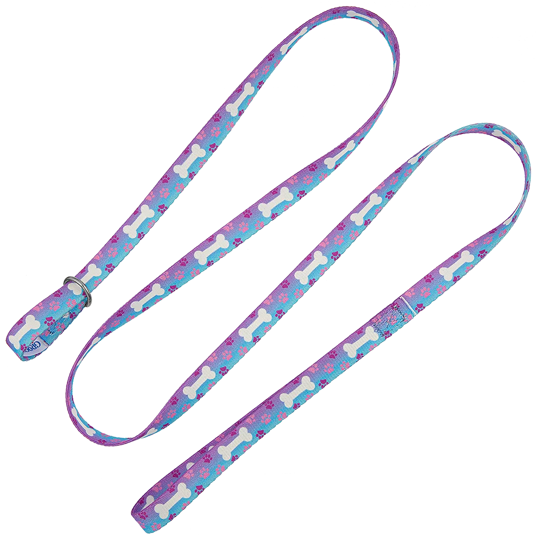 5ft Slip-Lead Leash Blue-Violet by Groom Loop