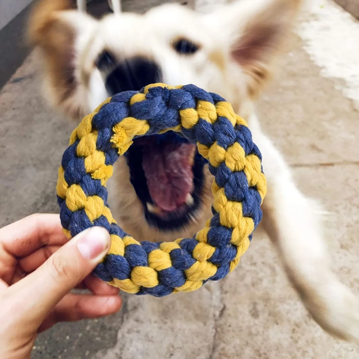 7 Pcs Cute Chew Toy Set for Pets-Wholesale