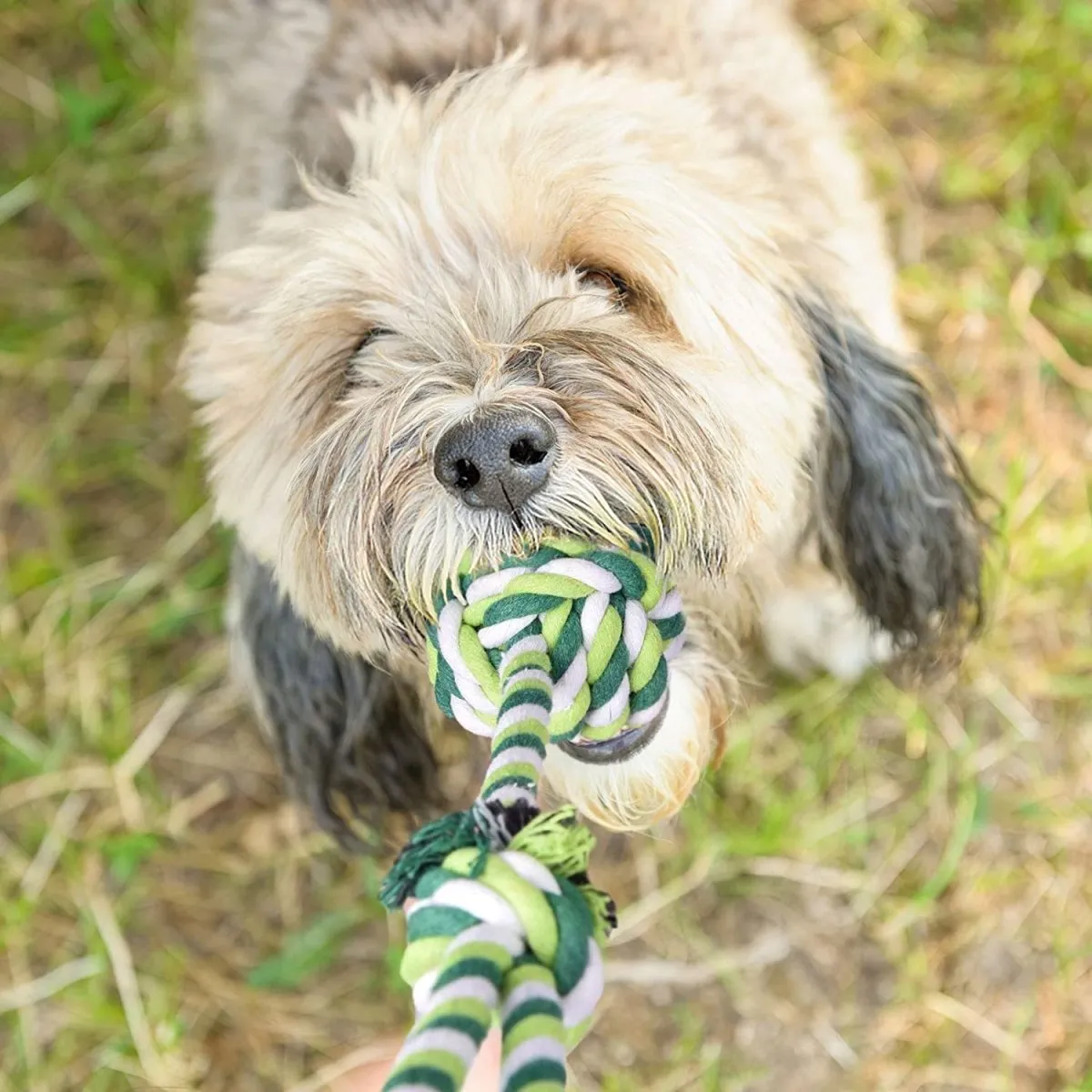 7 Pcs Cute Chew Toy Set for Pets-Wholesale