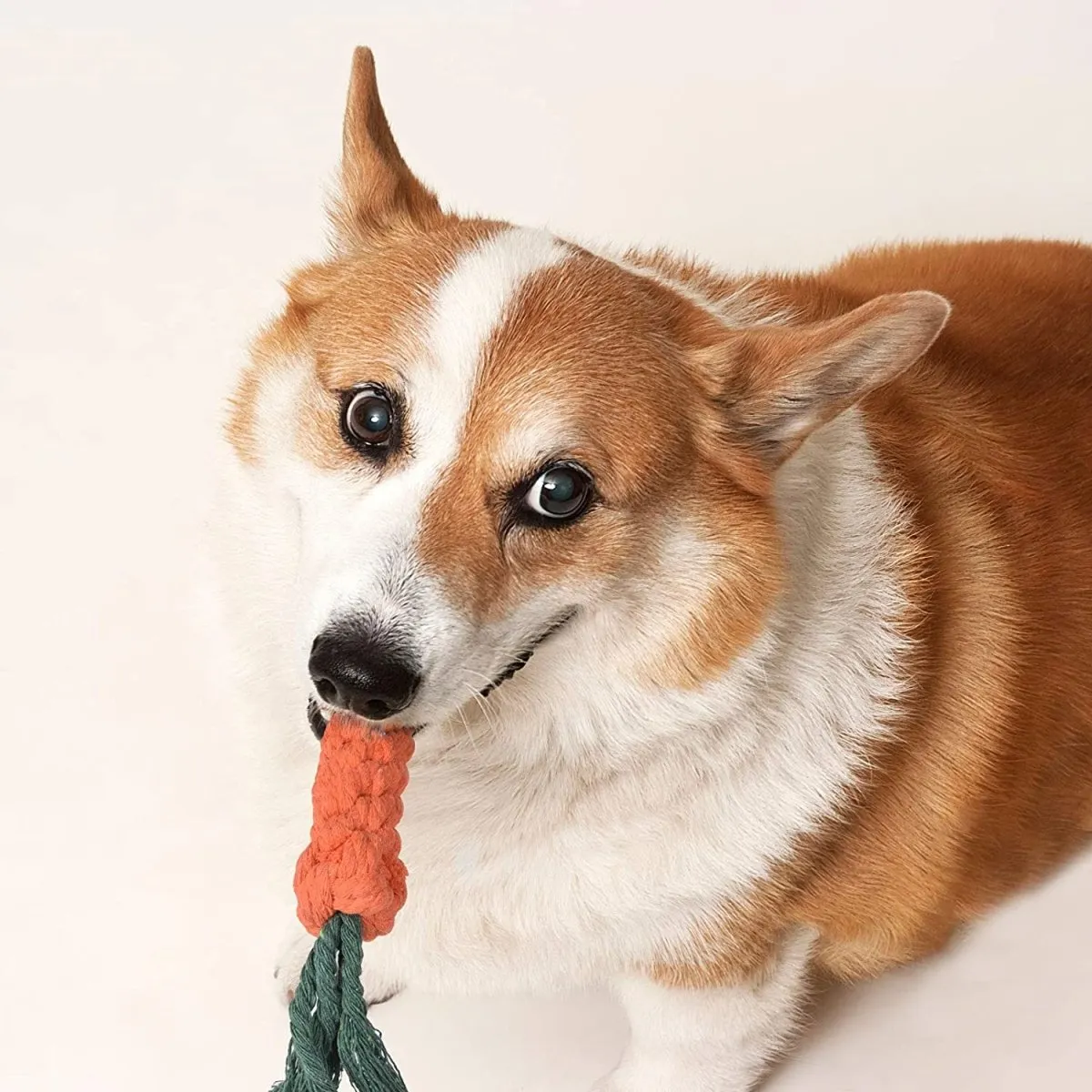 7 Pcs Cute Chew Toy Set for Pets-Wholesale