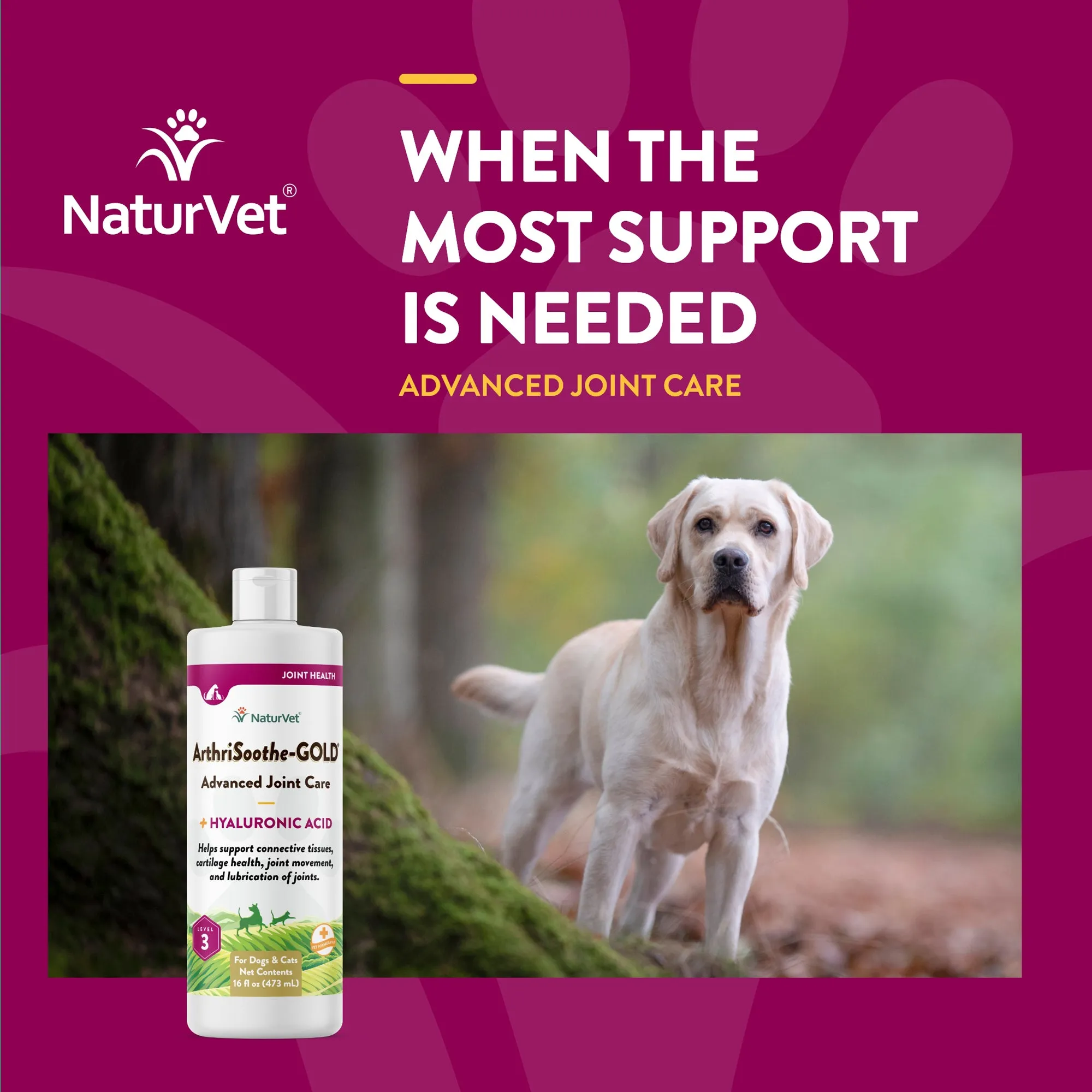 ArthriSoothe-GOLD® Advanced Joint Care Liquid