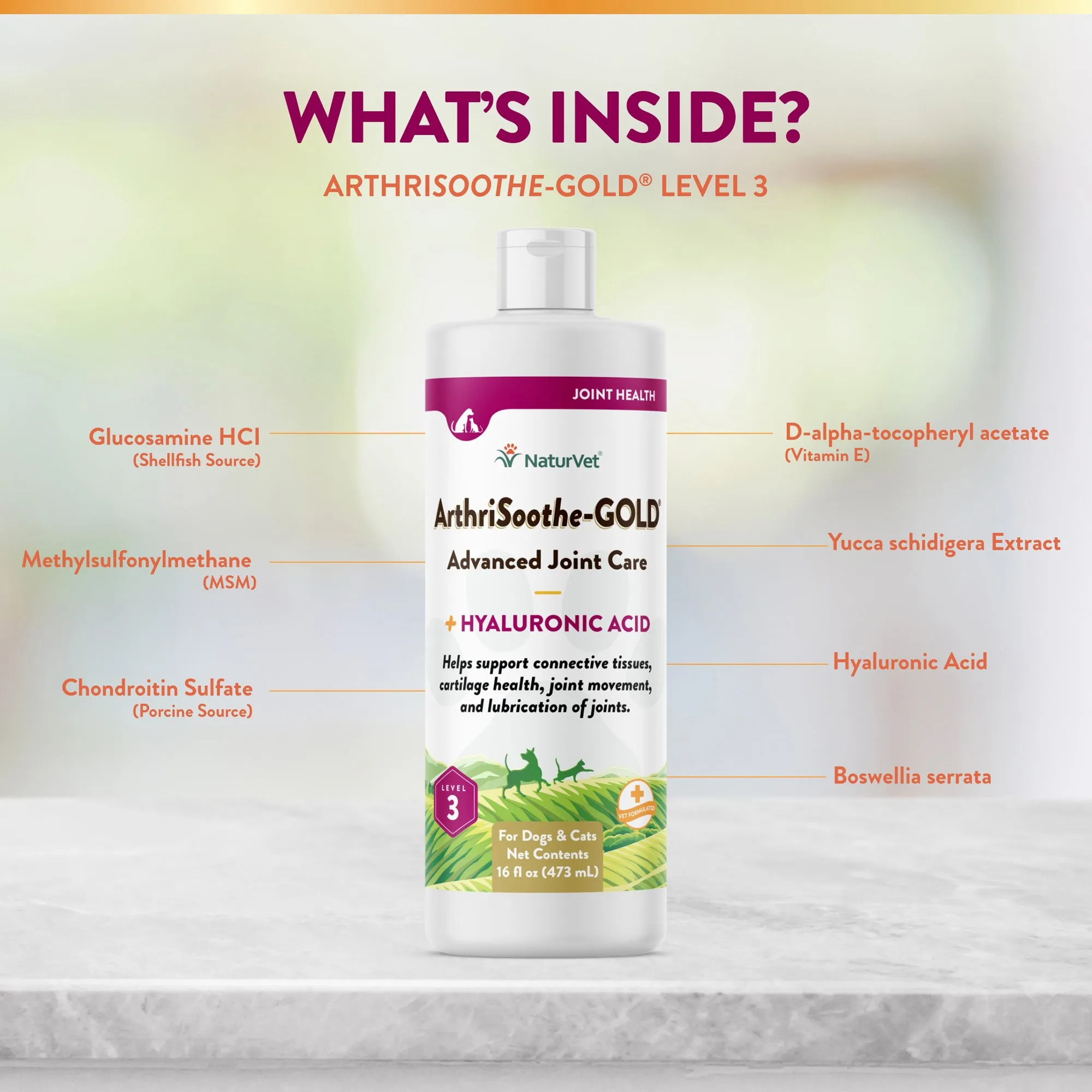 ArthriSoothe-GOLD® Advanced Joint Care Liquid