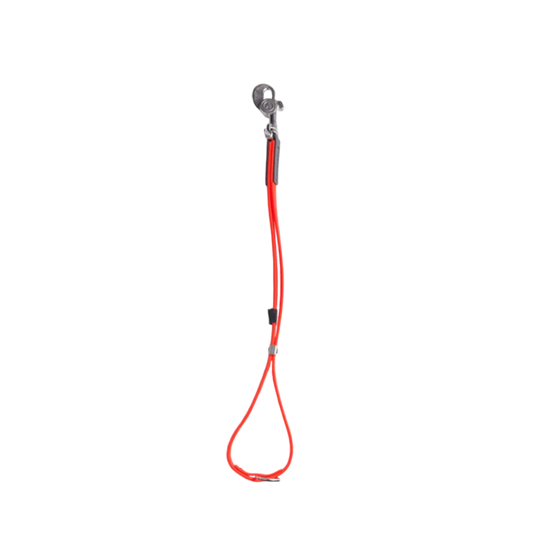 AXL loop in orange by Alpha Grooming