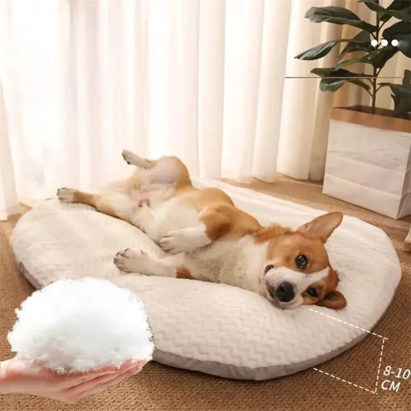 Dog Bed with Plush Memory Foam Cushion