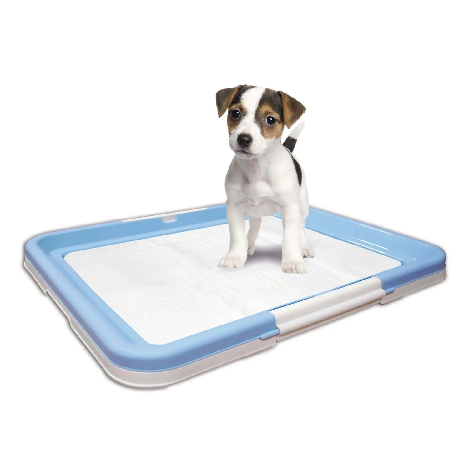 Flamingo Puppy Potty Trainer With 10 Mats 45 X 35 Cm
