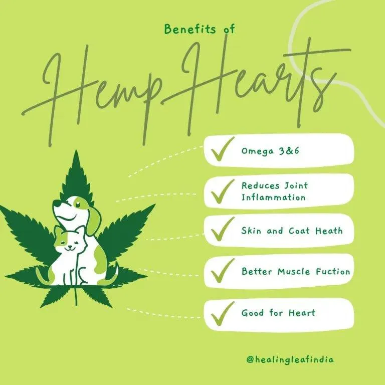 Healing Leaf - Hemp Hearts for Pets (100g)