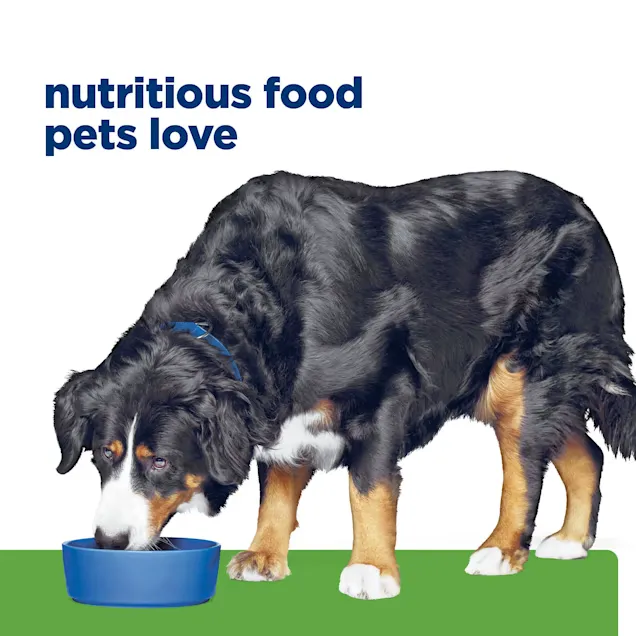 Hill's Prescription Diet Metabolic Weight   j/d Mobility Dry Dog Food