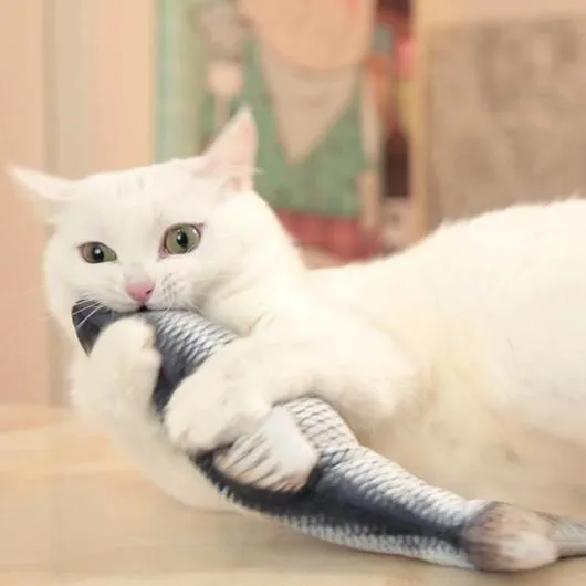 Kiki Moving Fish Cat Toy