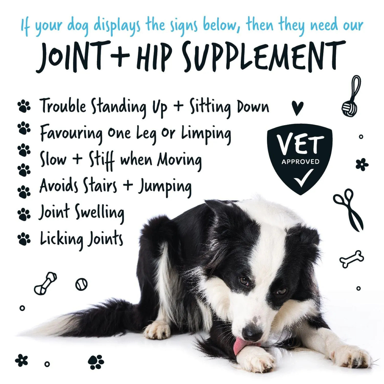 Natural Joint & Hip Supplement Powder for Dogs (200g)