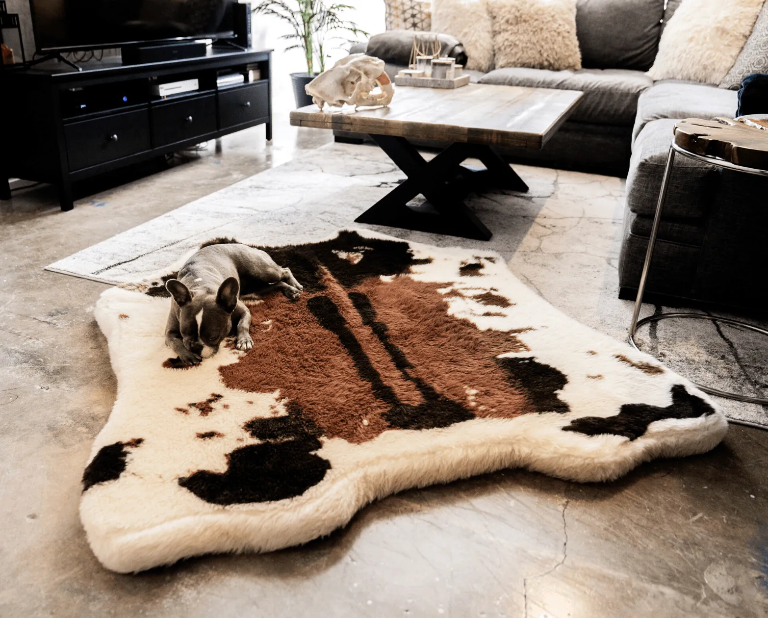 PupRug™ Memory Foam Bed   Matching Waterproof Blanket Bundle - Brown Faux Cowhide