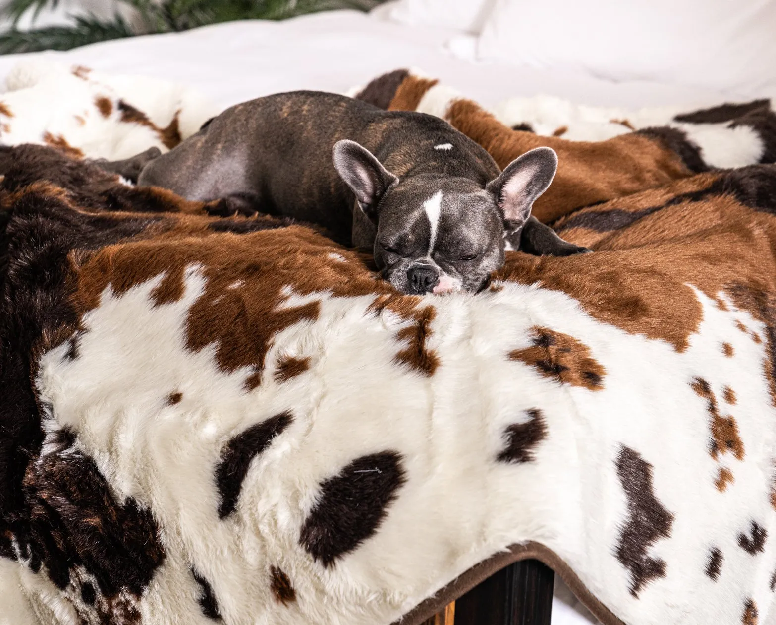 PupRug™ Memory Foam Bed   Matching Waterproof Blanket Bundle - Brown Faux Cowhide