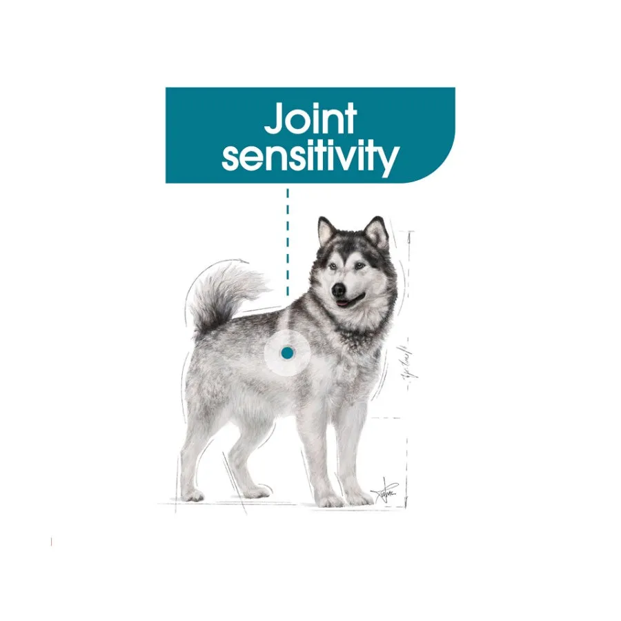 Royal Canin Maxi Joint Care Adult Dry Dog Food 10kg