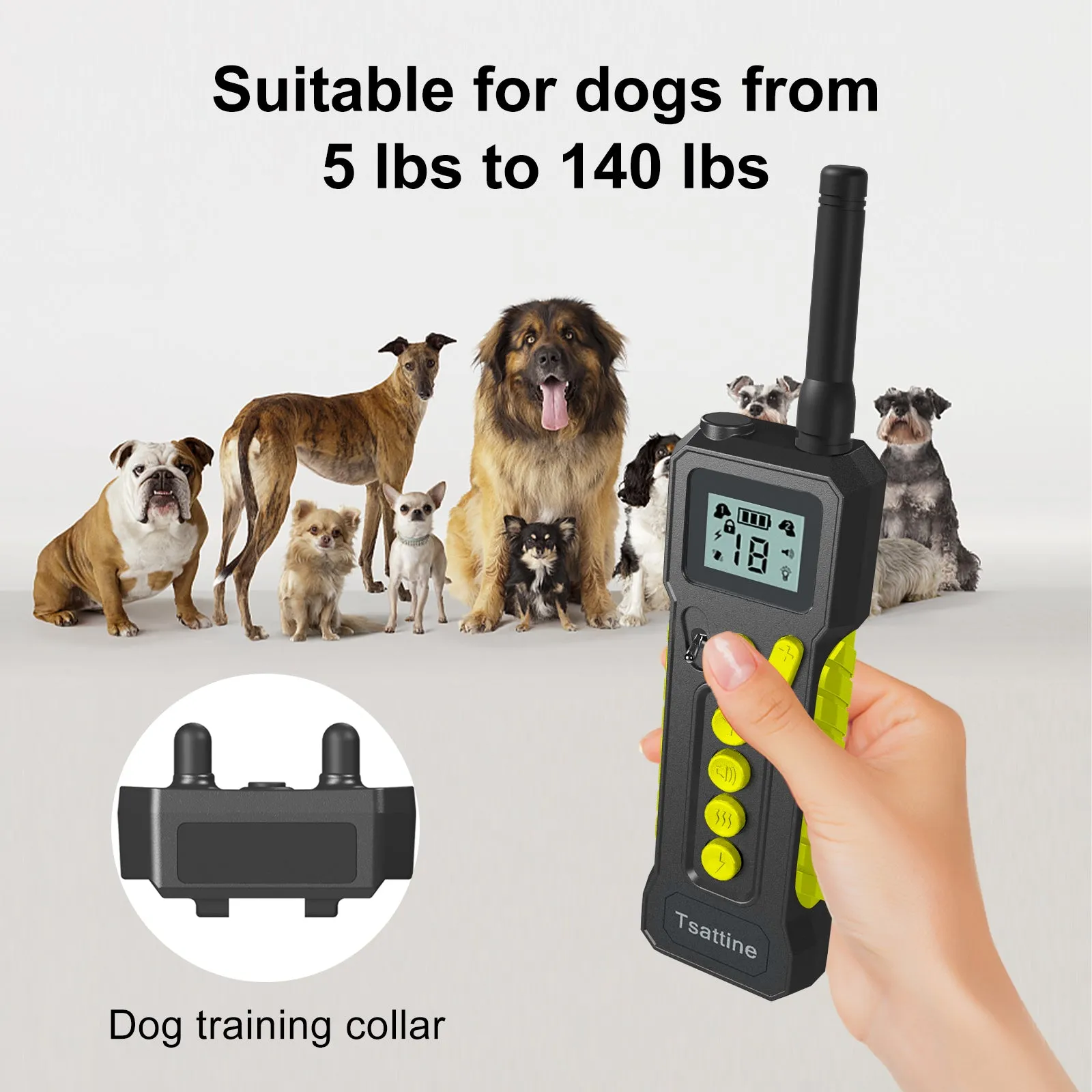 T10 Dog Training Collar