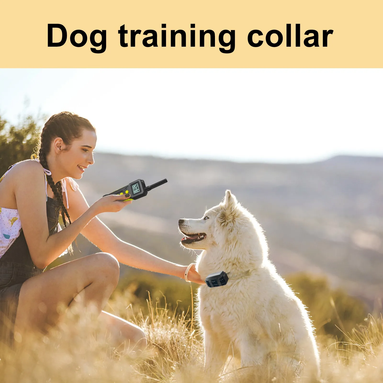 T10 Dog Training Collar