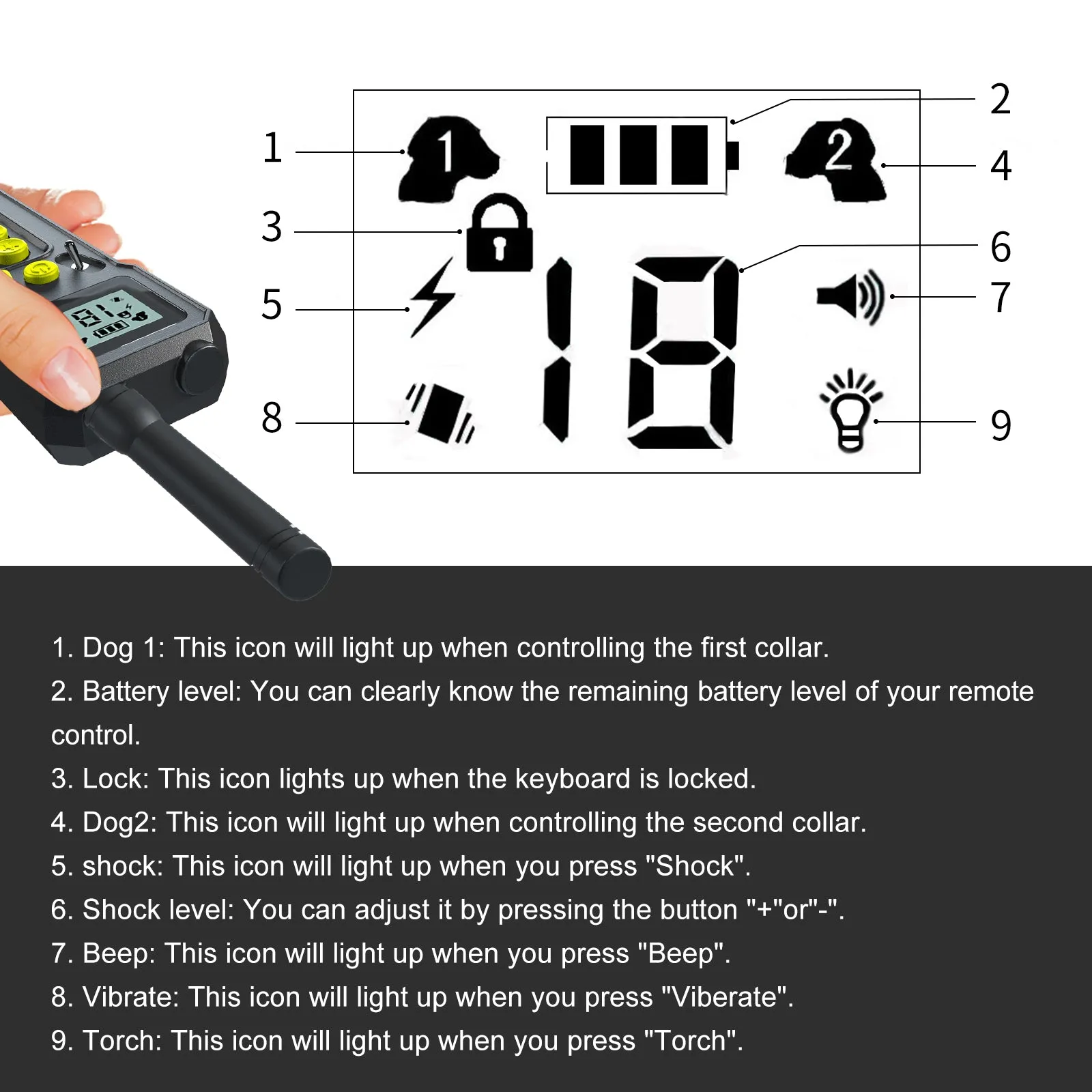 T10 Dog Training Collar