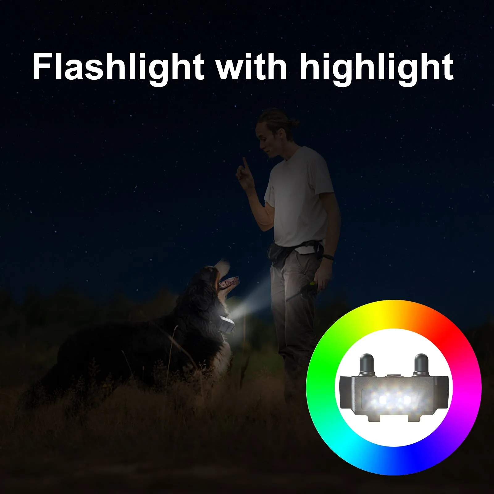 T10 Dog Training Collar