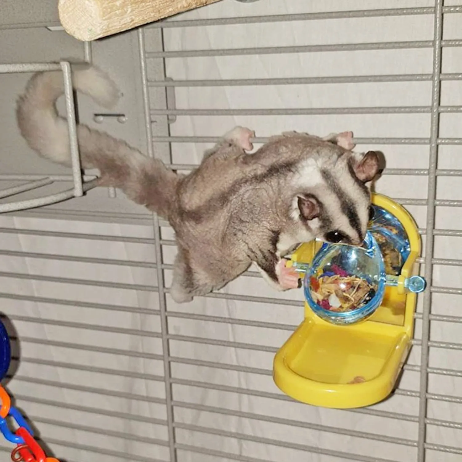 Tilt-N-Treat Dispenser