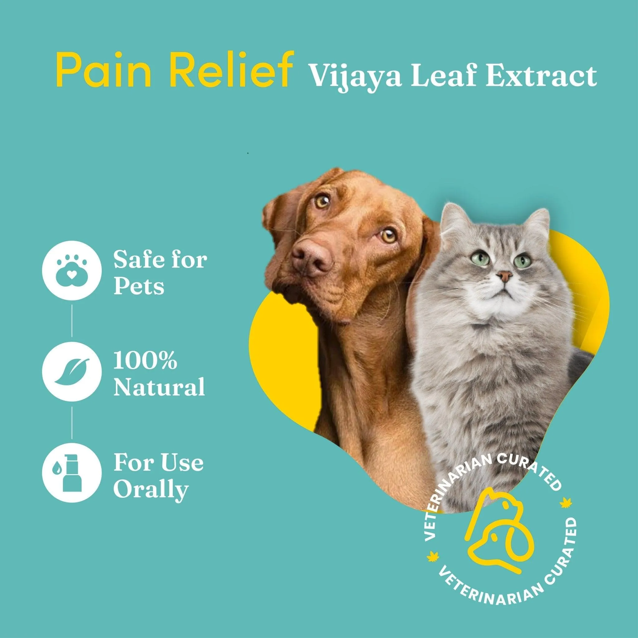 Vedic Tails Pain Relief Oil for Dogs Cats | Vijaya Leaf Extracts -30 ml